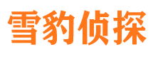 新昌市调查公司